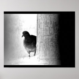 Poster Pombo Misterioso