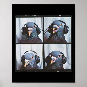 Poster Pombo-pombo-gato Rosto Autismo Pássaro Autista Sen