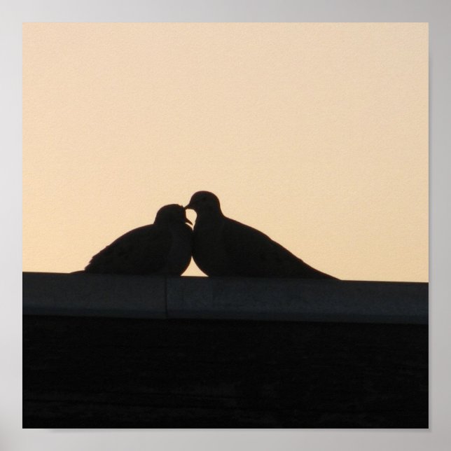 Pôster Pombos (Frente)