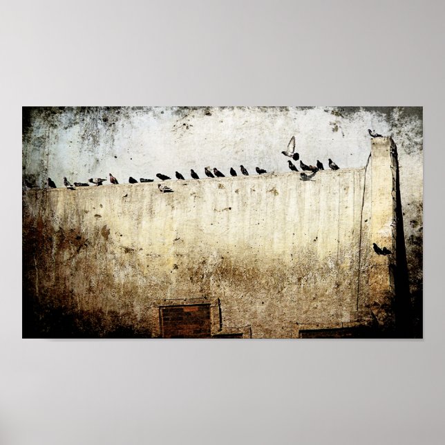 Pôster Pombos (Frente)