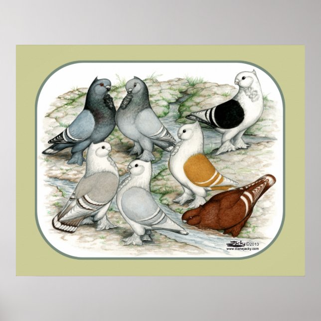 Pôster Pombos Clássicos de Barro Vermelho (Frente)