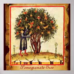 PÔSTER POMEGRANATE TREE ANTIQUE PARCHMENT