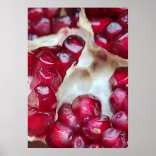 Poster Pomegranato