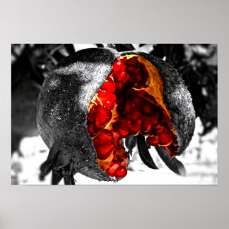 Poster Pomegranato