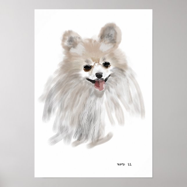 Poster Pomerainiano (Frente)