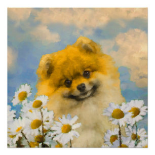 Pôster Pomerânia em Pintura de Dísias - Arte de Cachorr