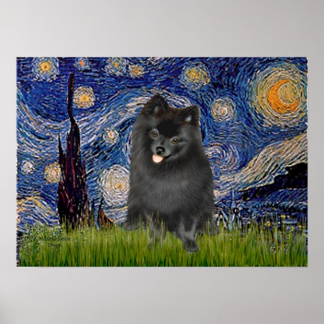 Poster Pomerânia (preto) - Noite Estrelada (Frente)