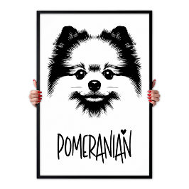 Poster Pomeranian Pop Art Black & White Chic Aesthetic