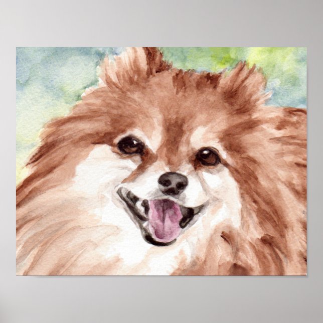 Pôster Pomeranian Watercolor Print (Frente)