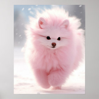 Poster Pomeraniana rosa na neve