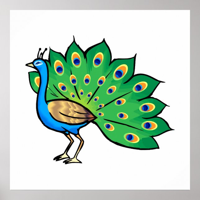 Pôster Ponce Peacock (Frente)