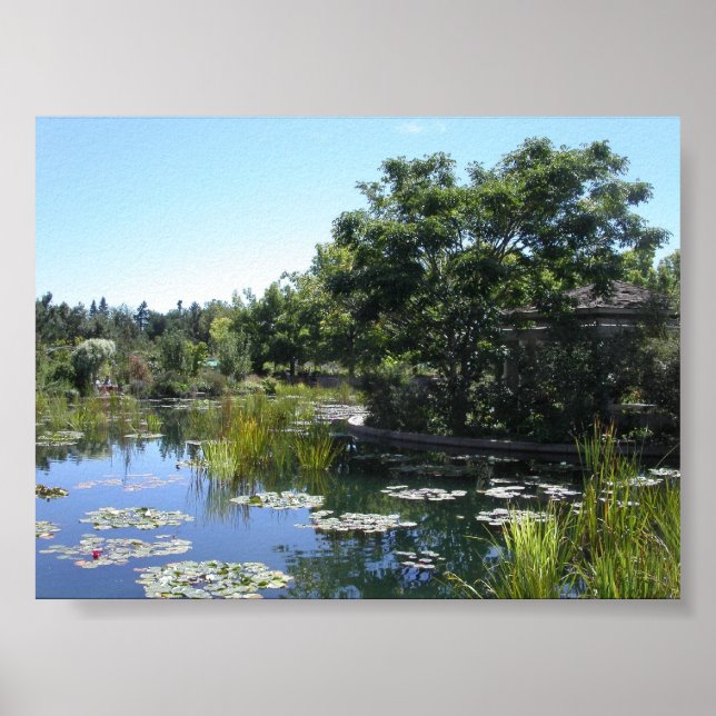 Poster Pond (Frente)