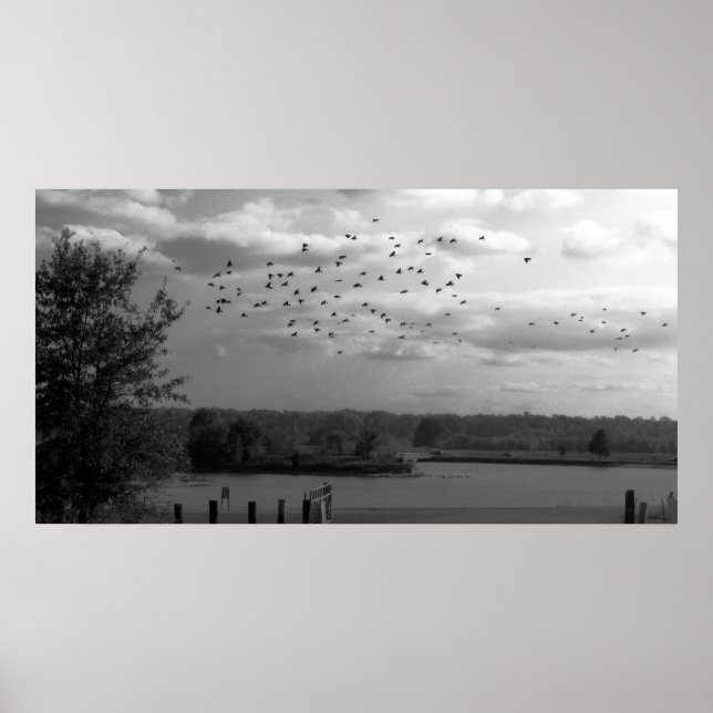 Pôster Pond (Frente)