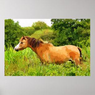 POSTER PÔNEI DE GALÊS