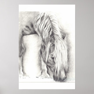 Pôster Pôneo de Grazing