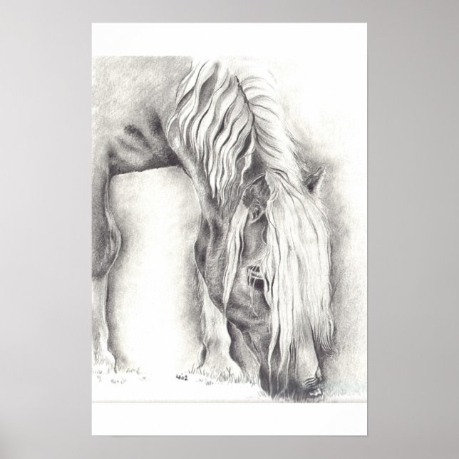 Pôster Pôneo de Grazing (Frente)