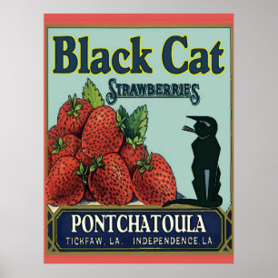 Poster Pontchatoula Morangos, Gato Vintage
