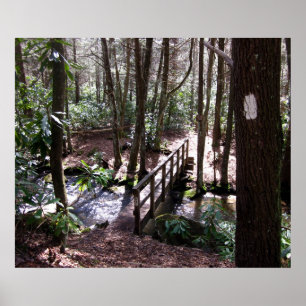 Pôster Ponte Appalachian Trail em Laurel Fork Tennessee