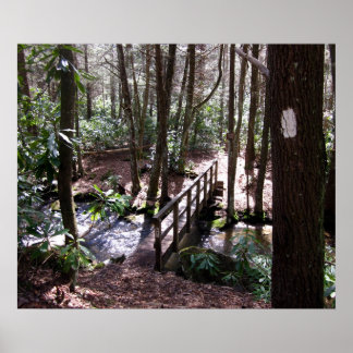 Pôster Ponte Appalachian Trail em Laurel Fork Tennessee