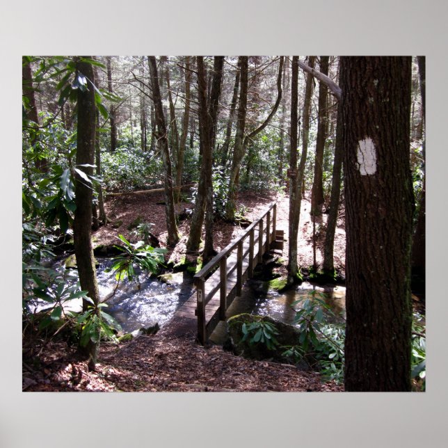 Pôster Ponte Appalachian Trail em Laurel Fork Tennessee (Frente)