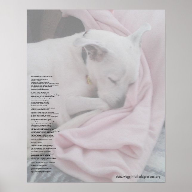 Pôster Ponte arco-íris do resgate (editada) (Frente)