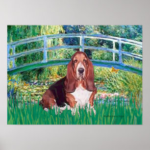 Pôster Ponte Basset Hound - Lily Pond