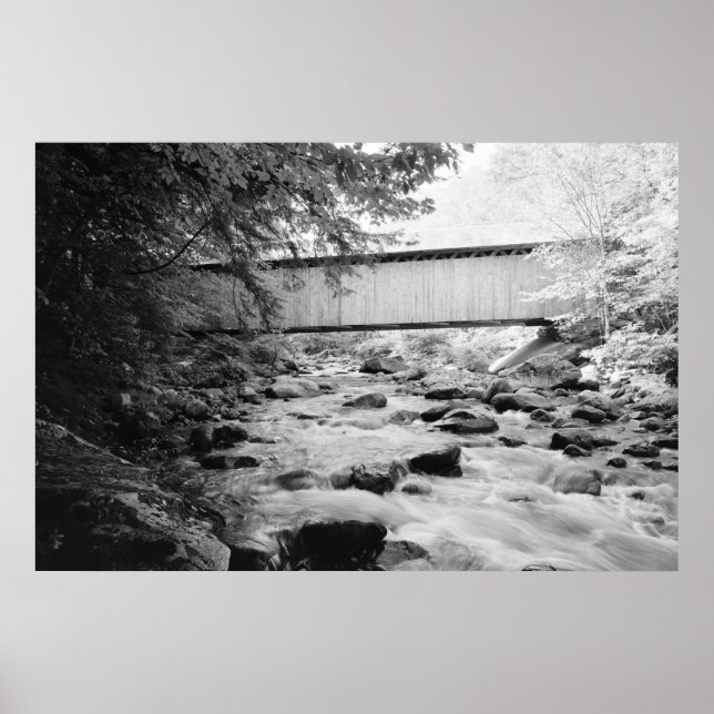 Poster Ponte Brown (Frente)