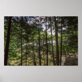 Pôster Ponte coberta do Parque Estadual de Mohican, Ohio.