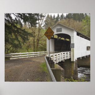 Poster Ponte coberta Wild Cat, Condado de Lane, Oregon