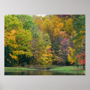 Poster Ponte da Cachoeira Seven Springs II Paisagem de Ou