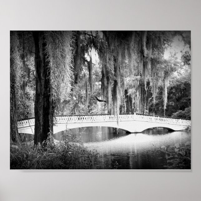 Pôster Ponte da Magnolia (Frente)