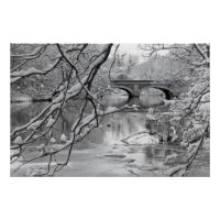 Ponte de arco sobre rio congelado no inverno