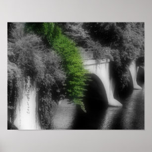 Pôster Ponte De Flores De Cor Parcial