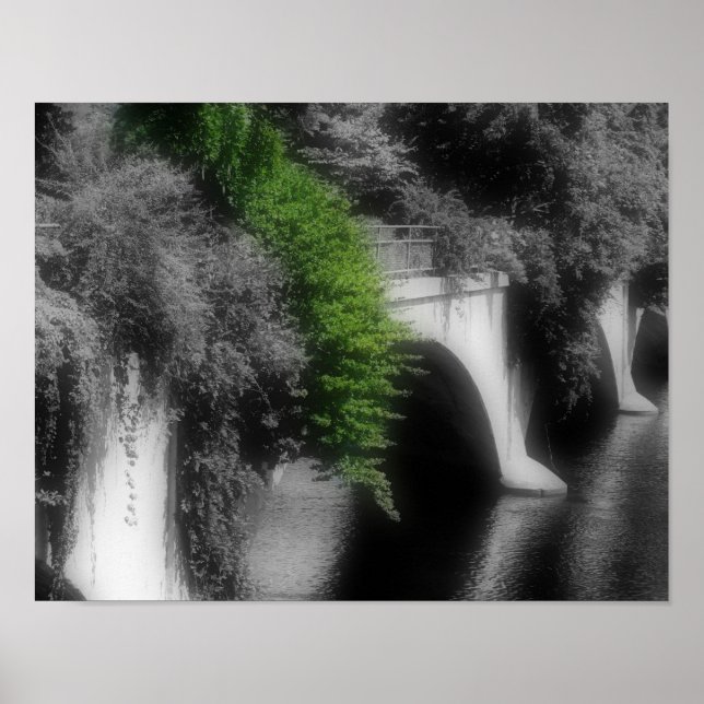 Pôster Ponte De Flores De Cor Parcial (Frente)