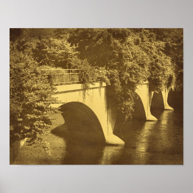 Poster Ponte De Flores Olhar De Vintagem (Frente)