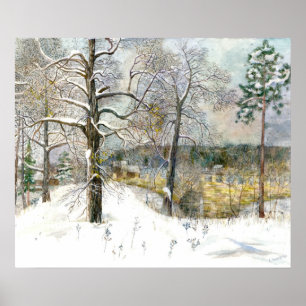 Pôster ponte de inverno