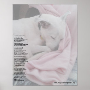 Pôster Ponte do arco-íris do salvador (editada)