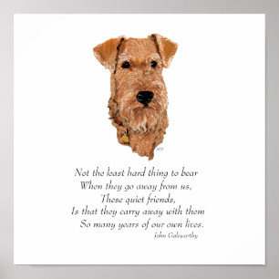 Poster Ponte do Arco-íris do Terrier Irlandês