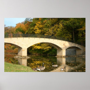 Poster Ponte do arco-íris em queda livre no Grove City C