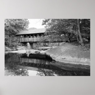 Pôster Ponte do rio Domingo