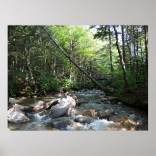 Poster Ponte do rio Pemigewasset em Nova Hampshire