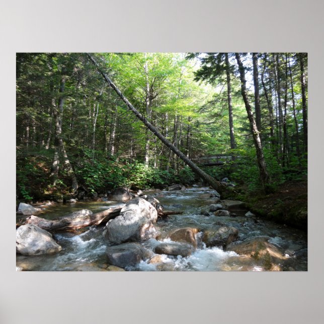 Poster Ponte do rio Pemigewasset em Nova Hampshire (Frente)