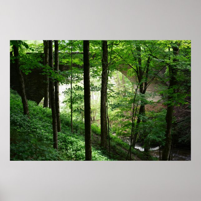 Poster Ponte Letchworth Floresta Verde 36" x 24" (Frente)