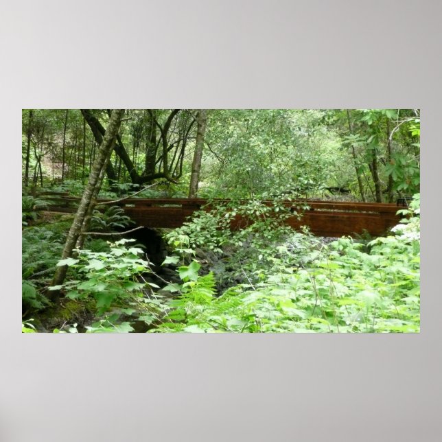 Pôster Ponte Muir Woods I (Frente)