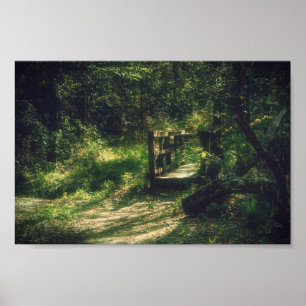 Poster Ponte na floresta