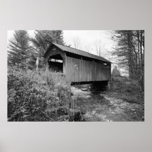 Poster Ponte Pine Brook