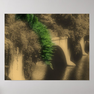 Pôster Ponte Sepia De Flores De Cor Parcial