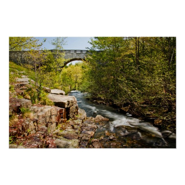 Pôster Ponte sobre o rio (Frente)