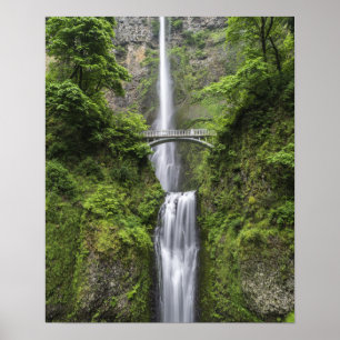 Poster Ponte sobre paisagem de cascata