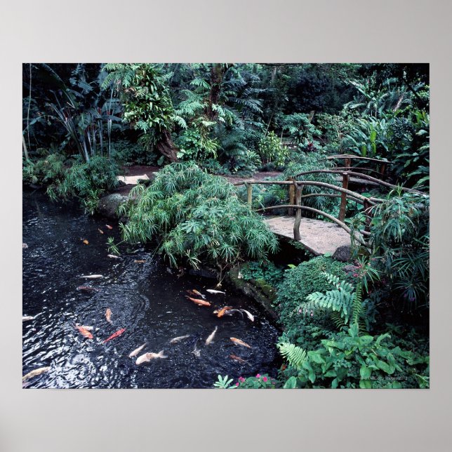 Poster Ponte sobre um lago de peixe dourado cercado por (Frente)